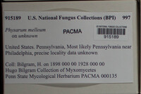 Image Associated With the Occurence